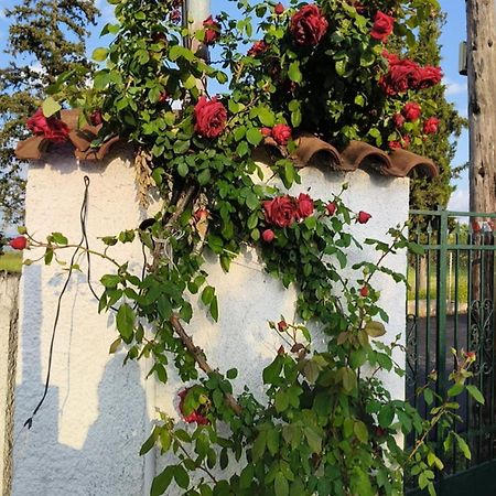 Πετρινη Κατοικια Στην Φυση Villa Tagarades Dış mekan fotoğraf