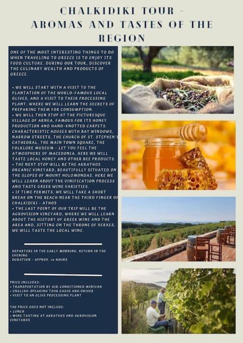 Πετρινη Κατοικια Στην Φυση Villa Tagarades Dış mekan fotoğraf
