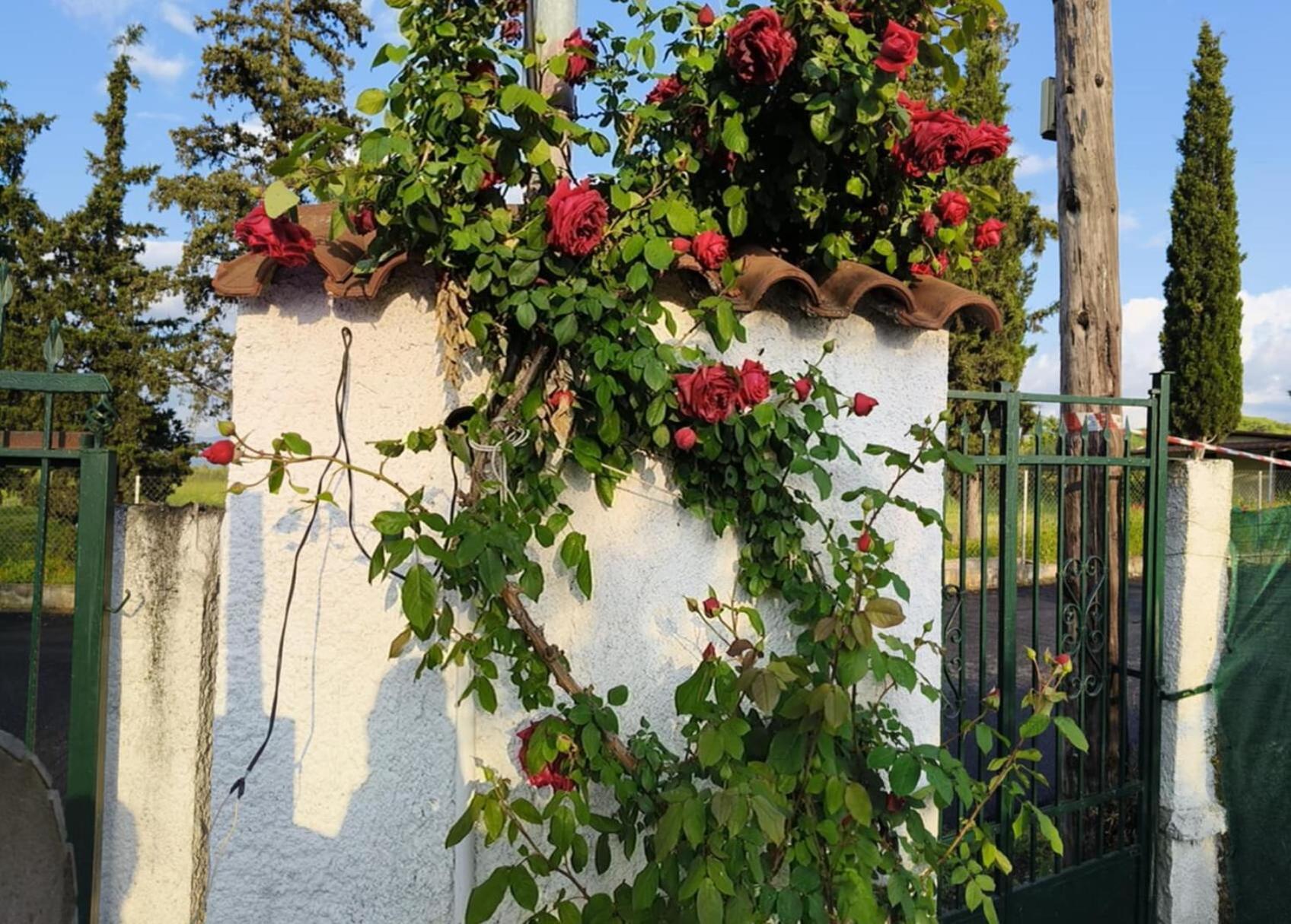 Πετρινη Κατοικια Στην Φυση Villa Tagarades Dış mekan fotoğraf